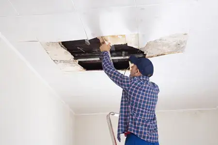 Drywall Repair & Painting Services